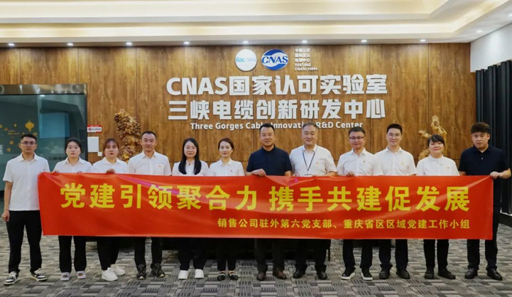 三峽電纜黨支部與貴州茅臺(tái)酒銷售有限公司駐外第六黨支部開展黨建共建活動(dòng)