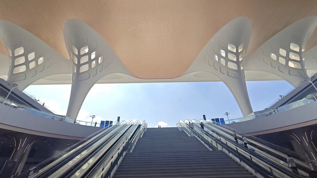 世界級(jí)案例+1丨三峽電纜以綠色方案助力重慶東站通車運(yùn)營(yíng)