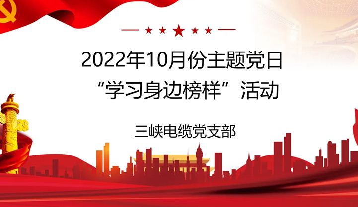 三峽電纜黨支部開(kāi)展“學(xué)習(xí)身邊榜樣”主題黨日活動(dòng)