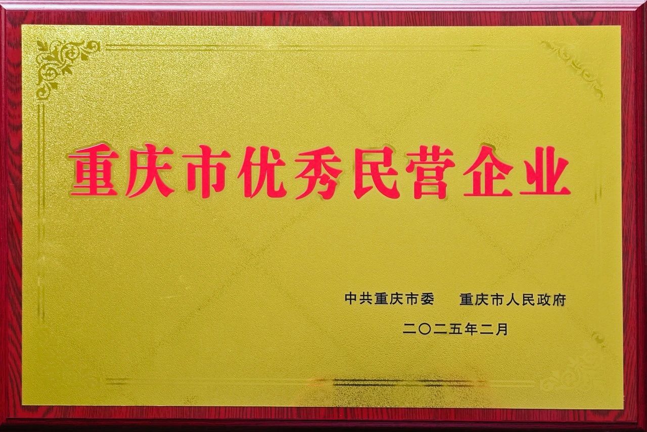 重慶市優(yōu)秀民營(yíng)企業(yè)