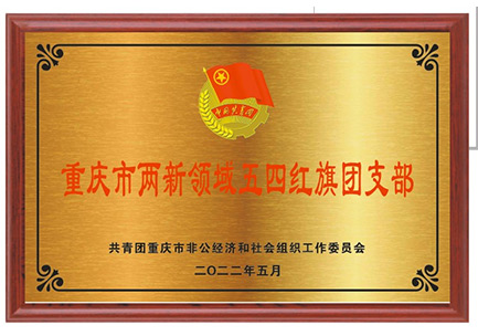 Chongqing Two New Areas May Fourth Red Flag Group Branch